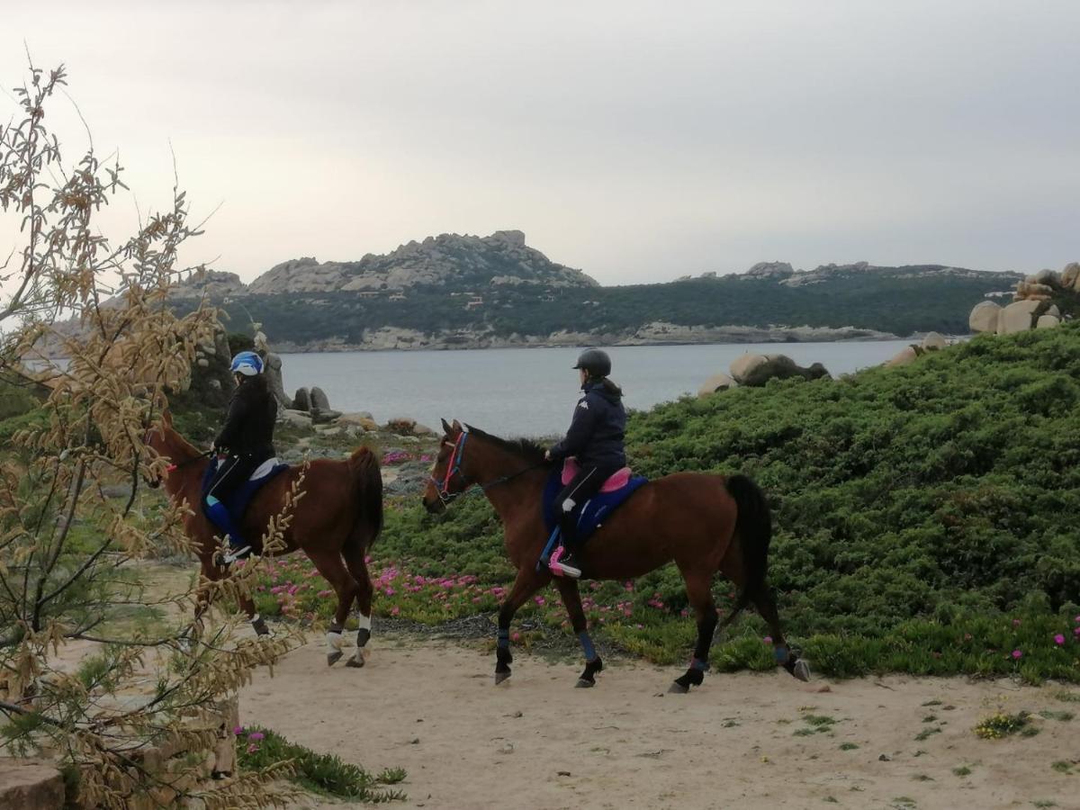 Casa Baia Santa Reparata - Santa Teresa Di Gallura Iun Q1712 Extérieur photo